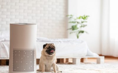 4 Tips for Air Purification for the Home